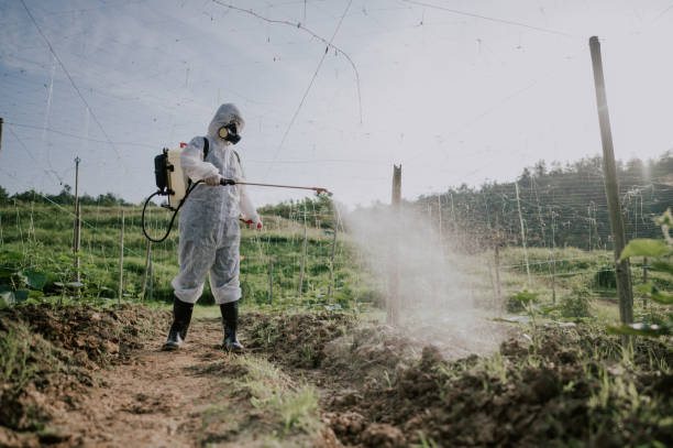 Best Best Pest Control Companies  in Kimberly, WI