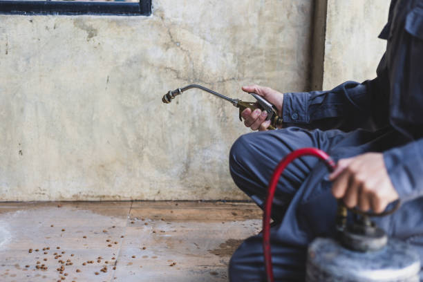 Best Exterminator Services  in Kimberly, WI